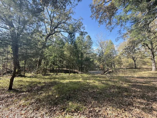 a view of a yard with a tree