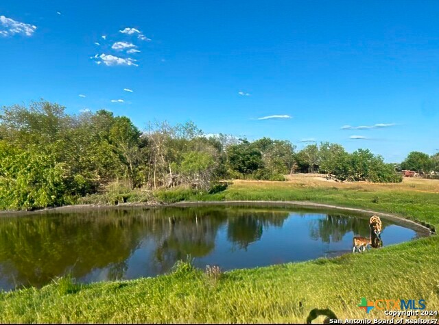 6197 Pfeil Road Schertz, TX 78154 - Photo 15 of 29 a view of a lake with a big yard
