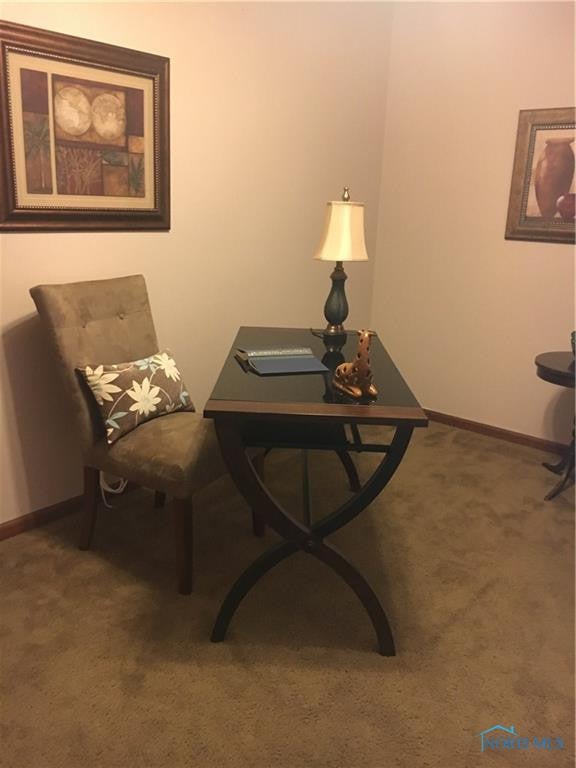 9751 Mandell Road Perrysburg, OH 43551 - Photo 21 of 33 Gallery Image 21