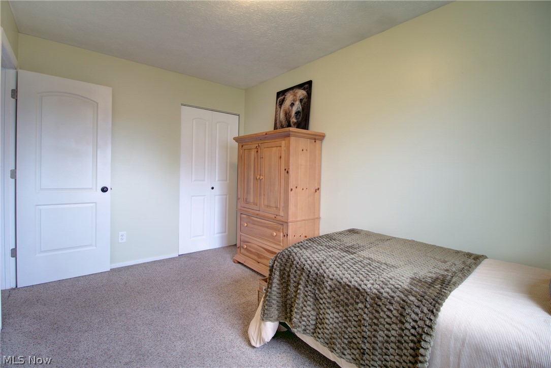 1157 Novak Road Grafton, OH 44044 - Photo 18 of 34