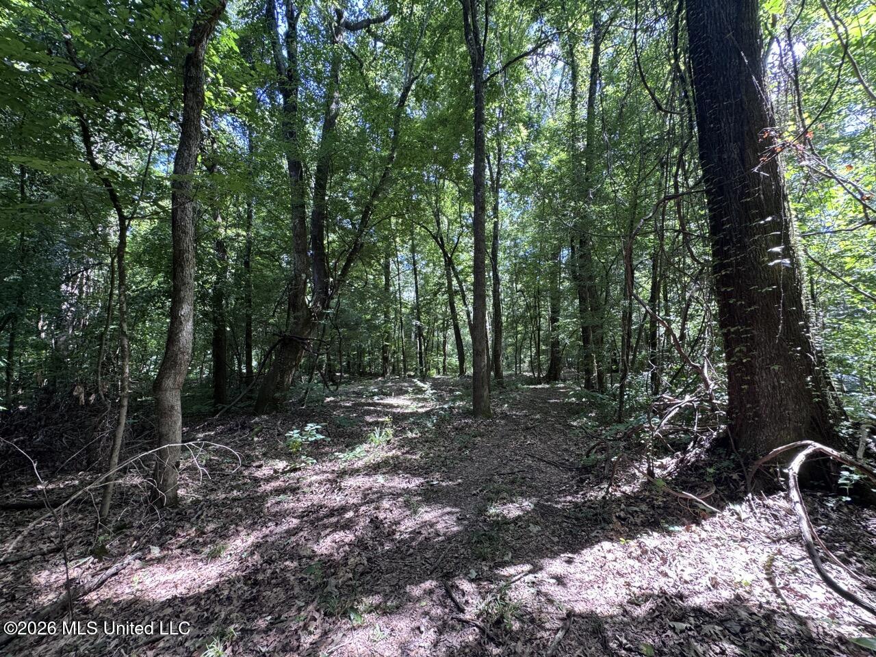 Pam Road Aimwell, LA 71401 - Photo 18 of 38 IMG_3857 Large