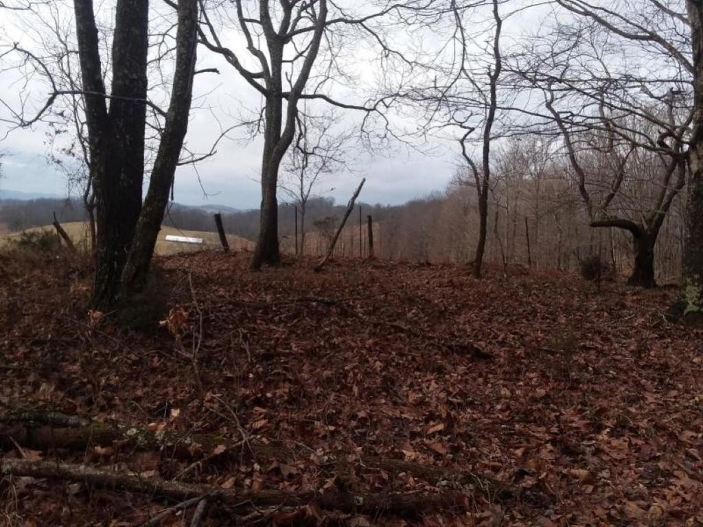 0 Eagle Ridge, Unit 22 Sneedville, TN 37869 - Photo 2 of 9 Photo 2
