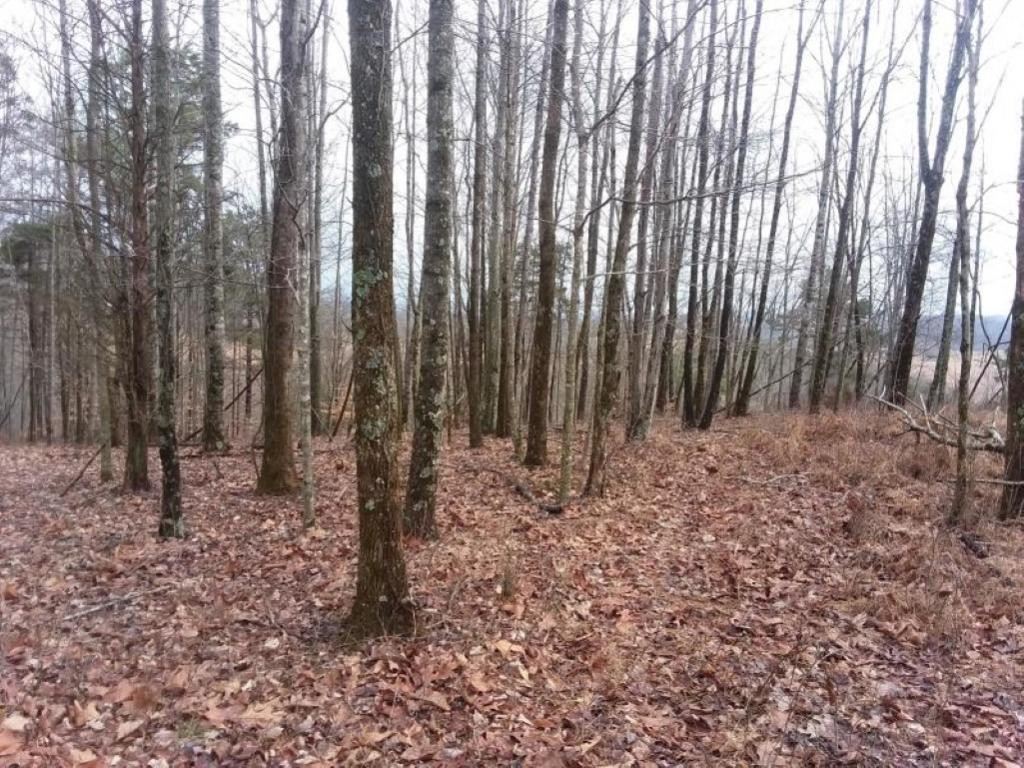 0 Eagle Ridge, Unit 22 Sneedville, TN 37869 - Photo 5 of 9 Photo 5