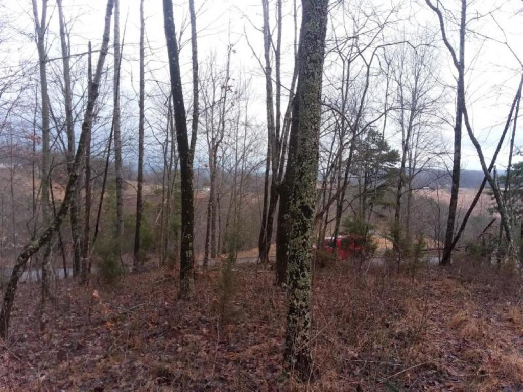 0 Eagle Ridge, Unit 22 Sneedville, TN 37869 - Photo 7 of 9 Photo 8