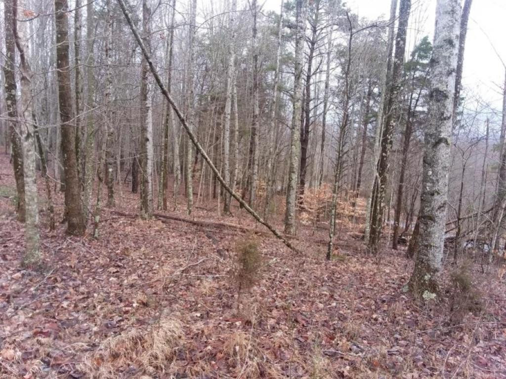 0 Eagle Ridge, Unit 22 Sneedville, TN 37869 - Photo 8 of 9 Photo 9