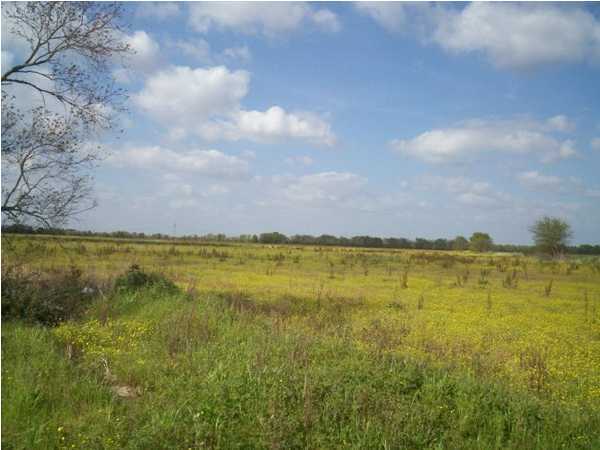 370 Hwy Church Point, LA 70525 - Photo 1 of 1 Primary Photo