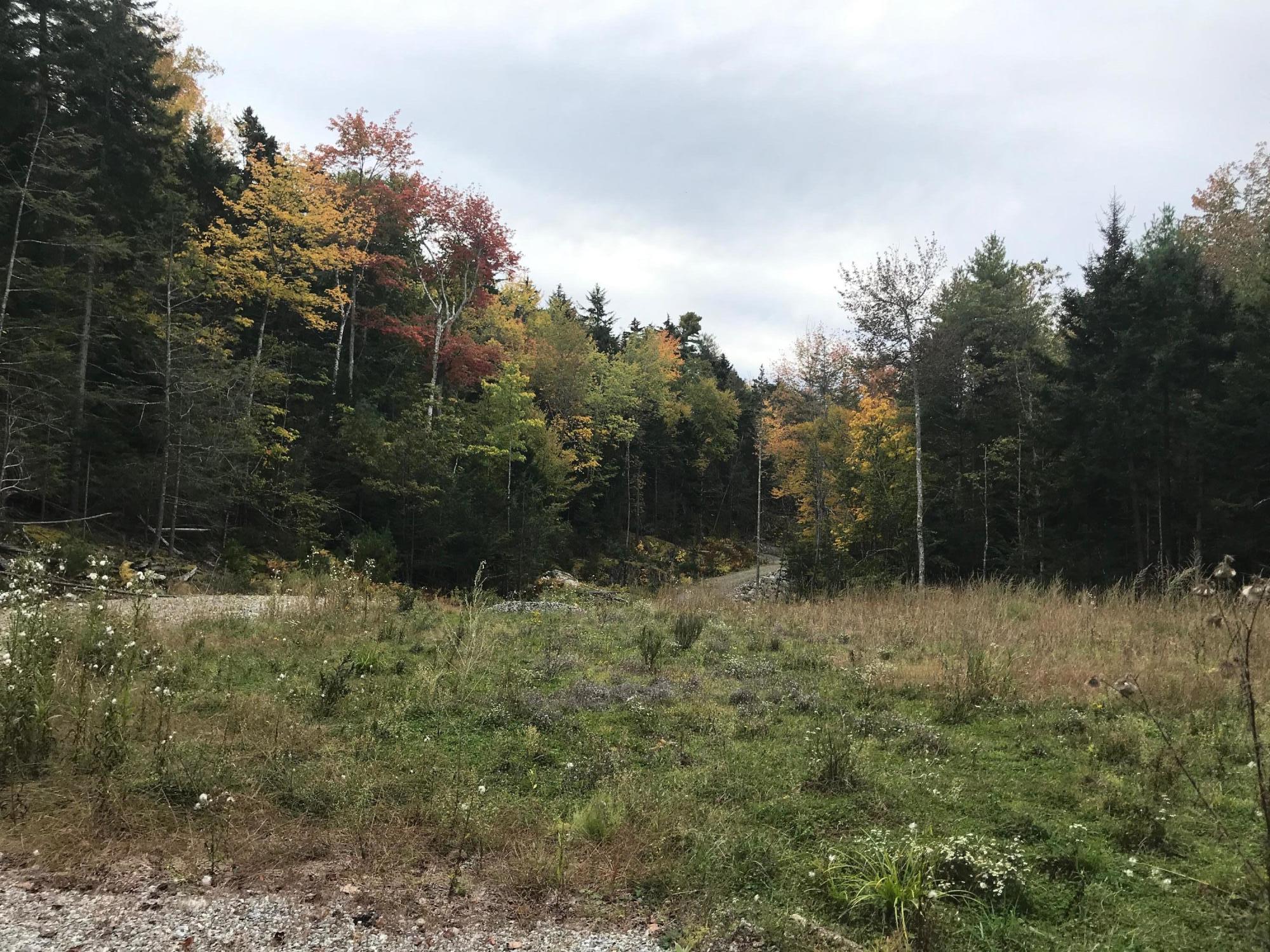 0 Holly Hill Road Harpswell, ME 04079 - Photo 9 of 16 IMG-9030