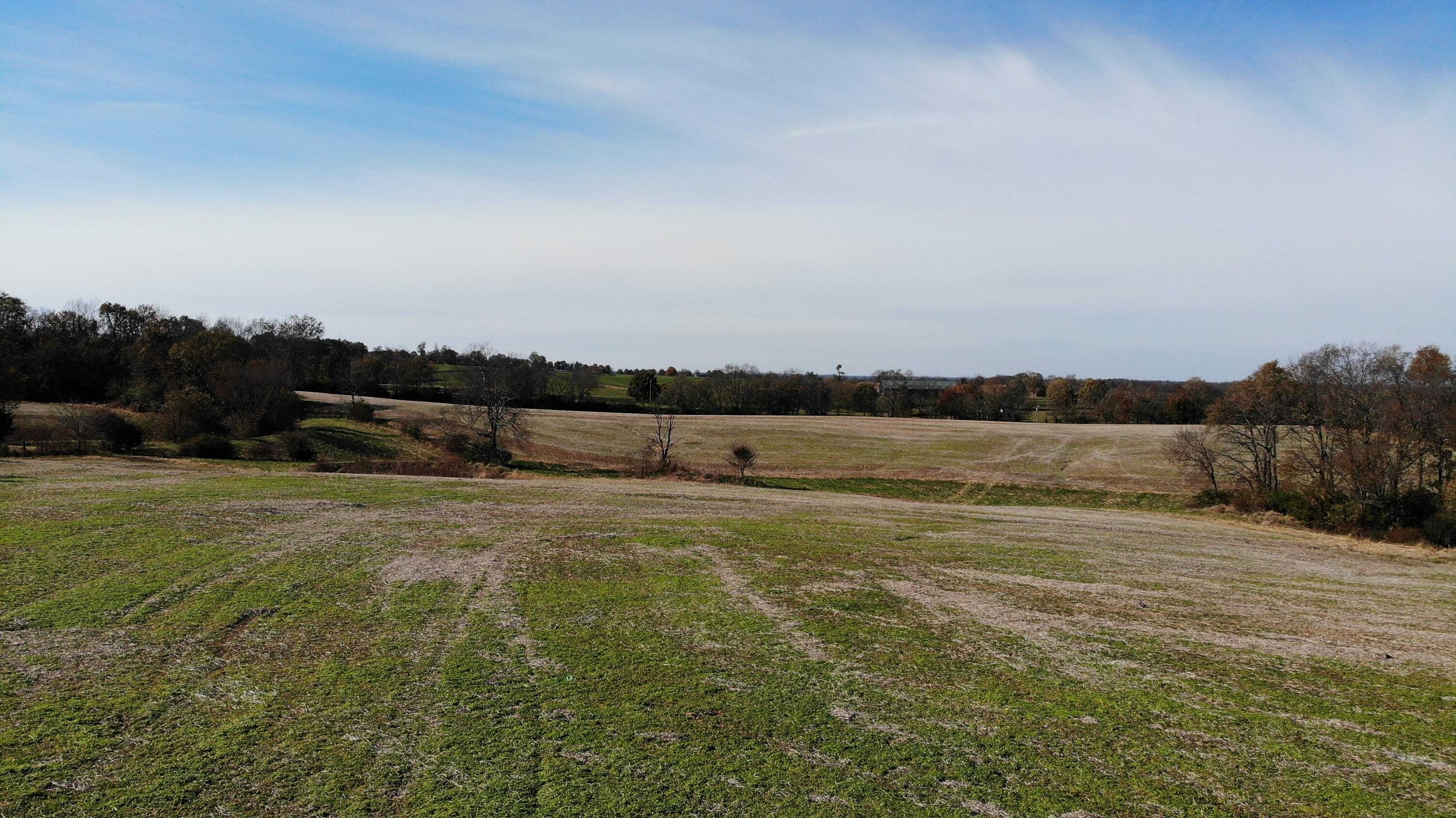 0 Redmon Road Paris, KY 40361 - Photo 3 of 6 dji_0752