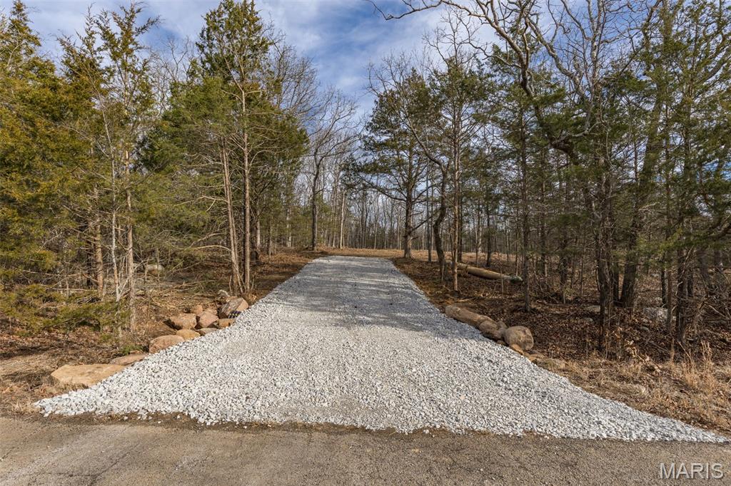 12.5 Acres On Effin Road Doe Run, MO 63637 - Photo 11 of 48