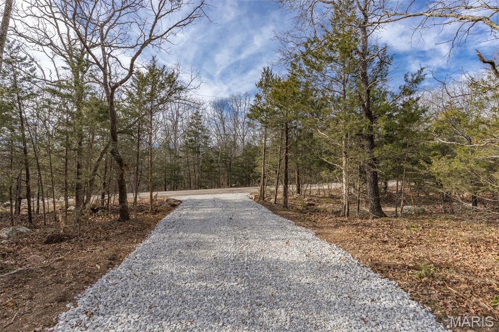 12.5 Acres On Effin Road Doe Run, MO 63637 - Photo 12 of 48