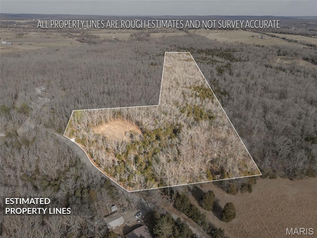 12.5 Acres On Effin Road Doe Run, MO 63637 - Photo 14 of 48