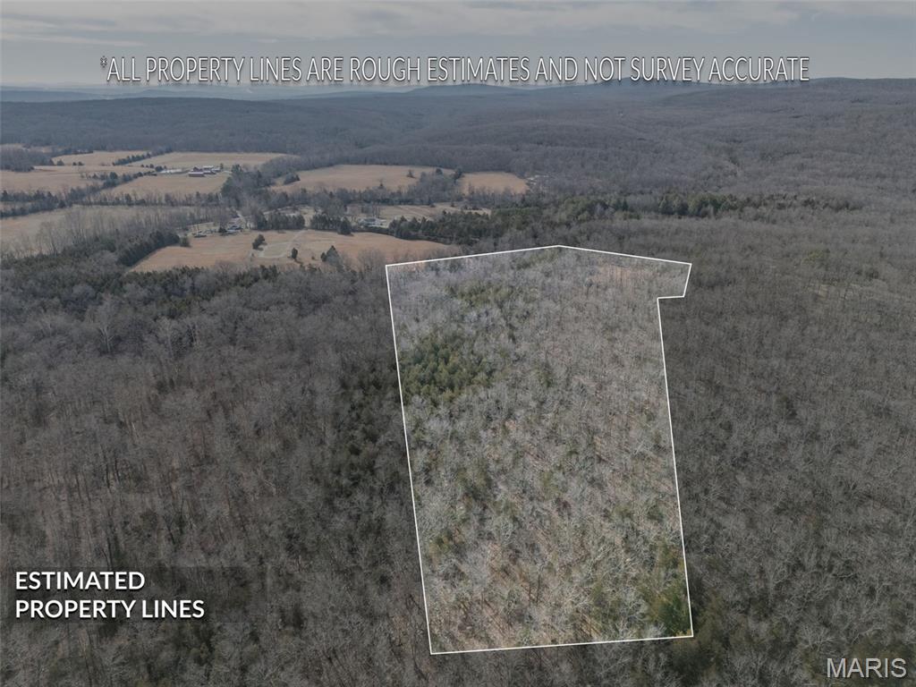 12.5 Acres On Effin Road Doe Run, MO 63637 - Photo 18 of 48