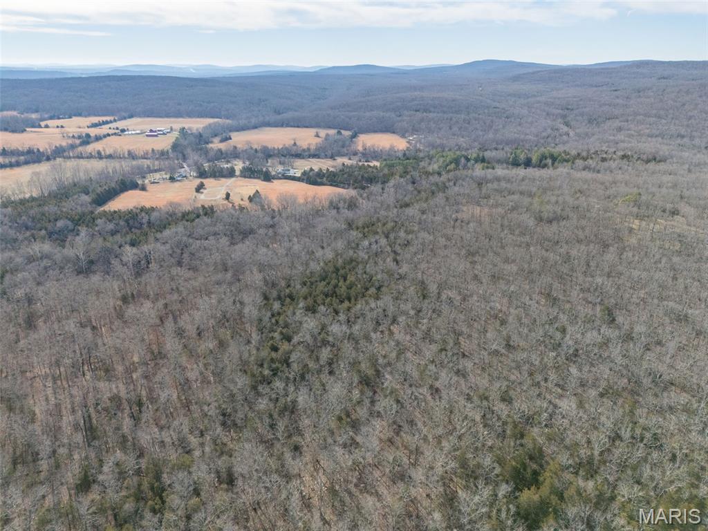 12.5 Acres On Effin Road Doe Run, MO 63637 - Photo 19 of 48