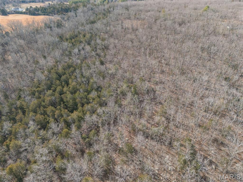 12.5 Acres On Effin Road Doe Run, MO 63637 - Photo 20 of 48