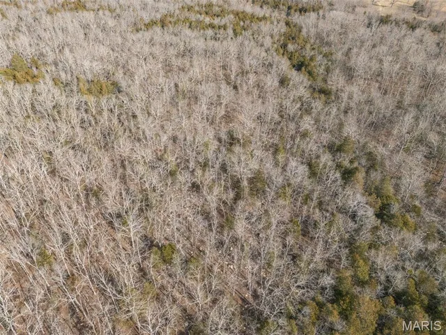 $96,999 | 12.5 Acres On Effin Road, Doe Run, MO 63637
