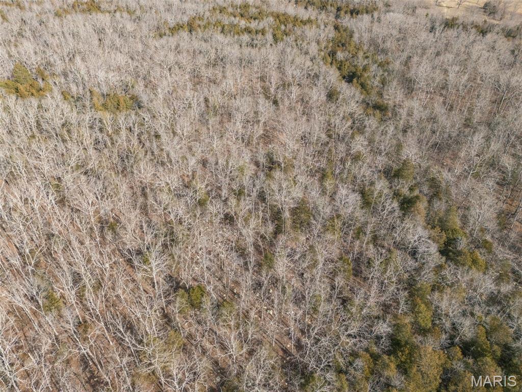 12.5 Acres On Effin Road Doe Run, MO 63637 - Photo 21 of 48