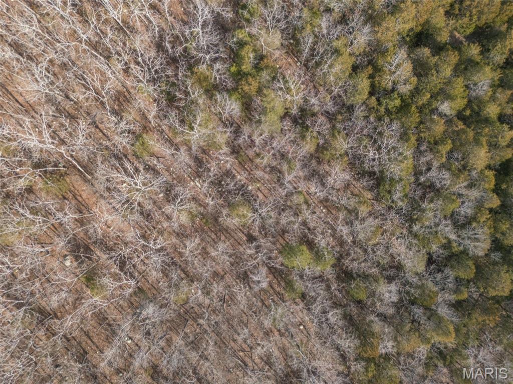 12.5 Acres On Effin Road Doe Run, MO 63637 - Photo 22 of 48