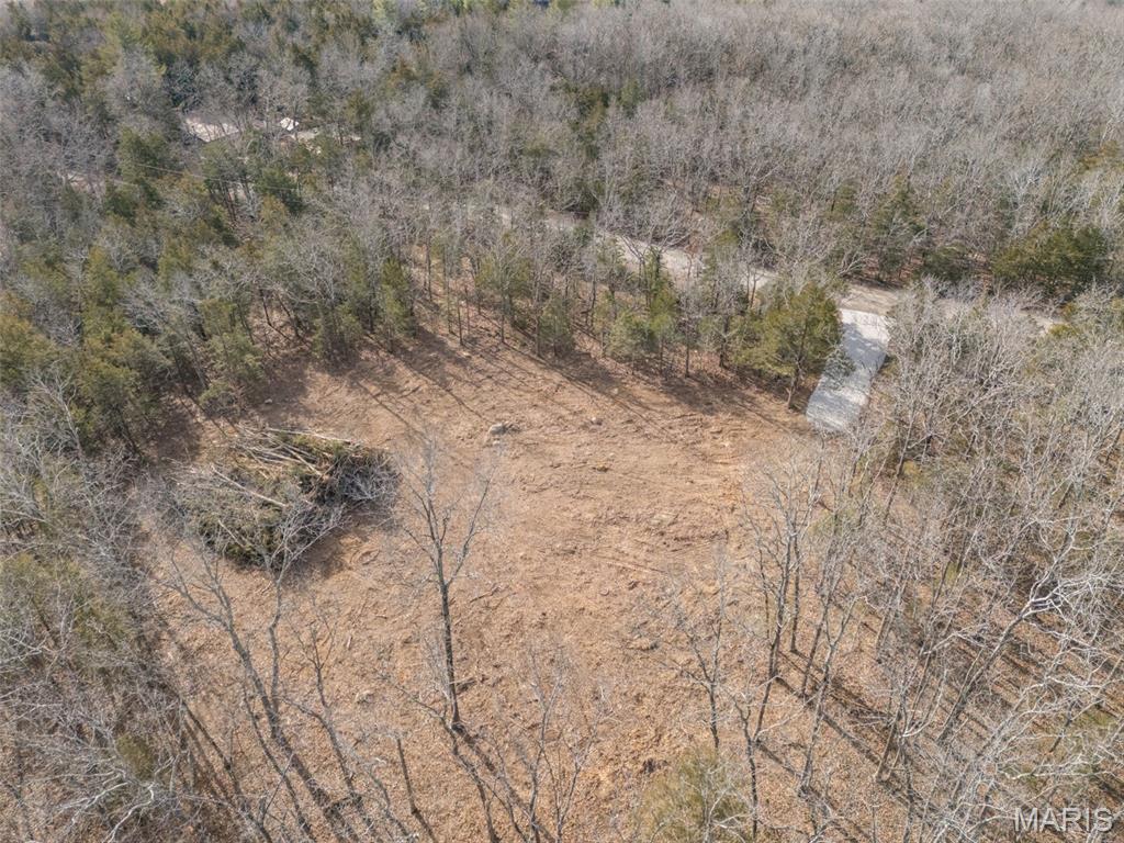 12.5 Acres On Effin Road Doe Run, MO 63637 - Photo 23 of 48