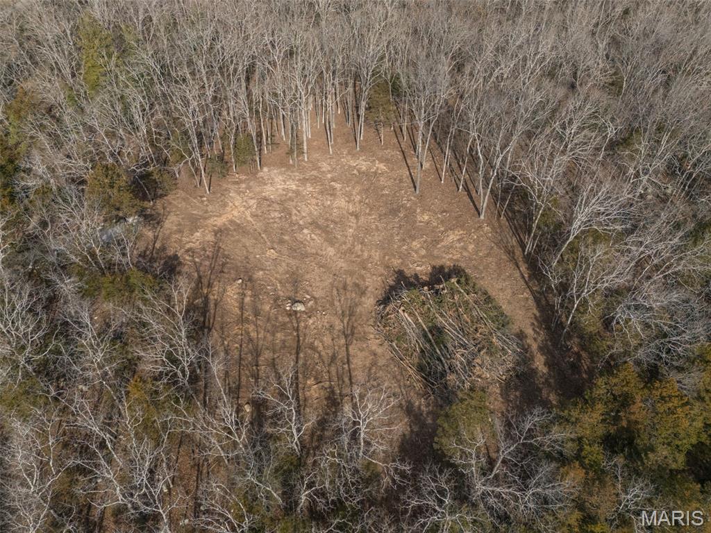 12.5 Acres On Effin Road Doe Run, MO 63637 - Photo 25 of 48