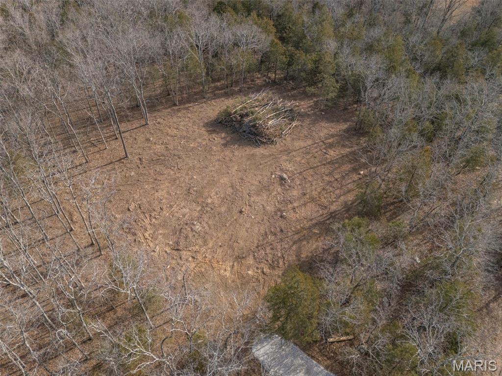 12.5 Acres On Effin Road Doe Run, MO 63637 - Photo 26 of 48