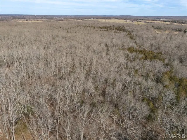 $96,999 | 12.5 Acres On Effin Road, Doe Run, MO 63637