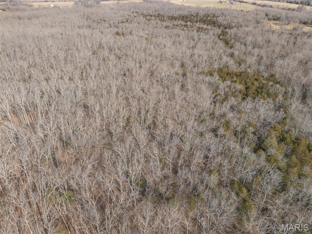 12.5 Acres On Effin Road Doe Run, MO 63637 - Photo 28 of 48