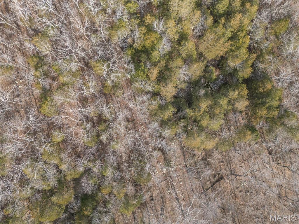 12.5 Acres On Effin Road Doe Run, MO 63637 - Photo 30 of 48