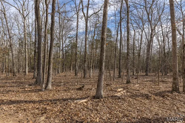 $96,999 | 12.5 Acres On Effin Road, Doe Run, MO 63637