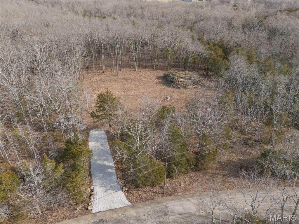 12.5 Acres On Effin Road Doe Run, MO 63637 - Photo 32 of 48