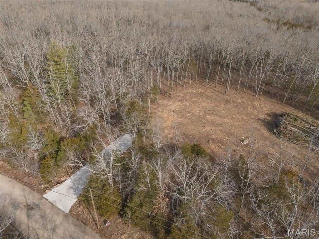 12.5 Acres On Effin Road Doe Run, MO 63637 - Photo 33 of 48