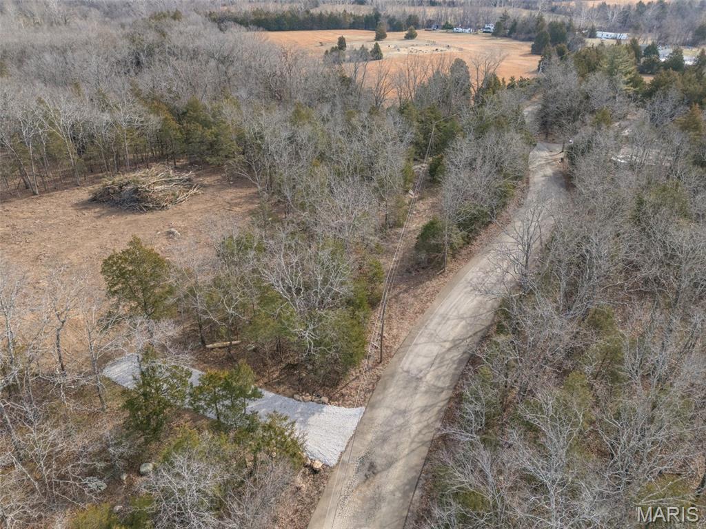 12.5 Acres On Effin Road Doe Run, MO 63637 - Photo 34 of 48