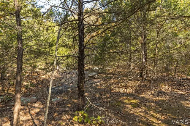 $96,999 | 12.5 Acres On Effin Road, Doe Run, MO 63637