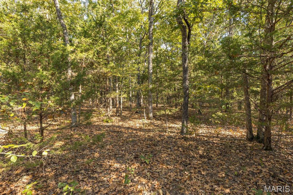 12.5 Acres On Effin Road Doe Run, MO 63637 - Photo 37 of 48