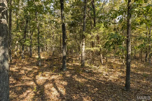 $96,999 | 12.5 Acres On Effin Road, Doe Run, MO 63637
