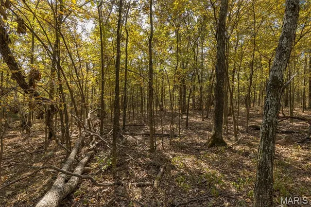 $96,999 | 12.5 Acres On Effin Road, Doe Run, MO 63637