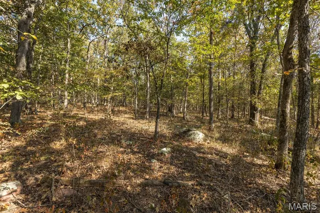 $96,999 | 12.5 Acres On Effin Road, Doe Run, MO 63637