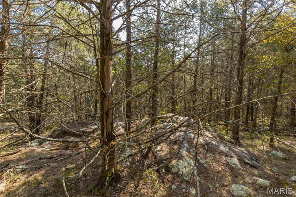 12.5 Acres On Effin Road Doe Run, MO 63637 - Photo 43 of 48