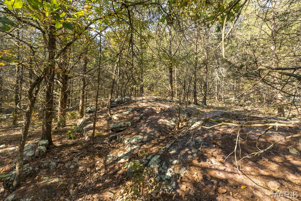 12.5 Acres On Effin Road Doe Run, MO 63637 - Photo 44 of 48