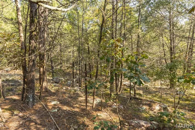 $96,999 | 12.5 Acres On Effin Road, Doe Run, MO 63637