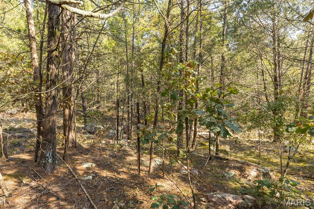 12.5 Acres On Effin Road Doe Run, MO 63637 - Photo 45 of 48