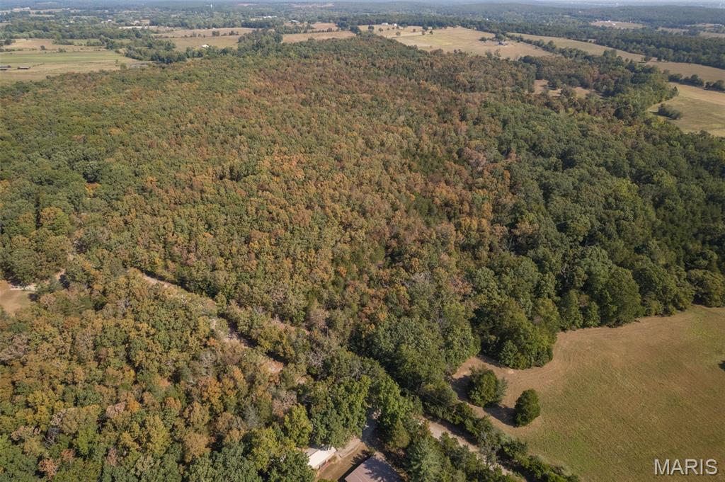 12.5 Acres On Effin Road Doe Run, MO 63637 - Photo 46 of 48