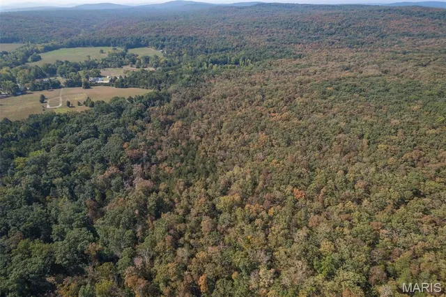 $96,999 | 12.5 Acres On Effin Road, Doe Run, MO 63637