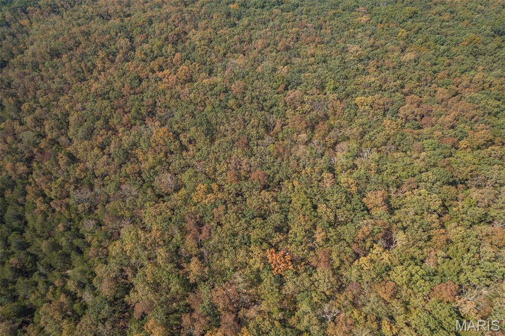 12.5 Acres On Effin Road Doe Run, MO 63637 - Photo 48 of 48