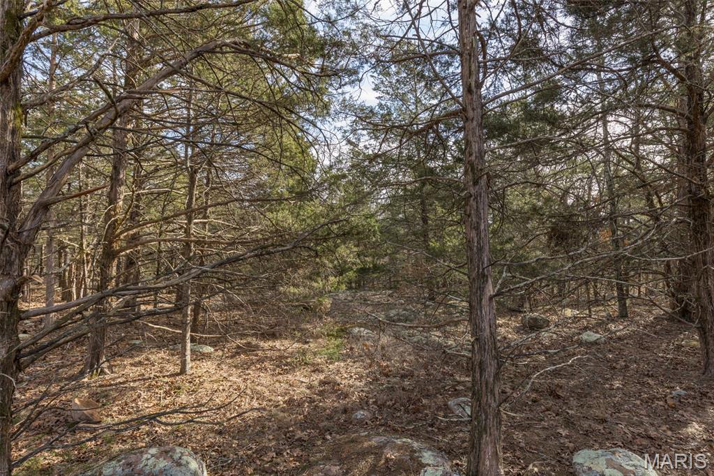 12.5 Acres On Effin Road Doe Run, MO 63637 - Photo 6 of 48