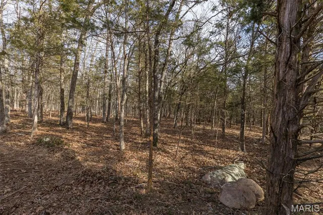 $96,999 | 12.5 Acres On Effin Road, Doe Run, MO 63637