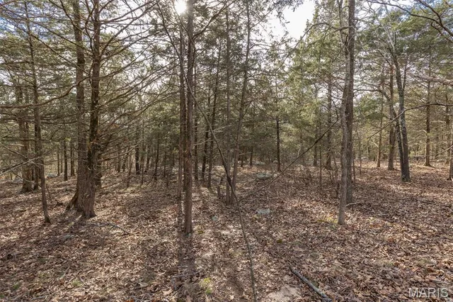 $96,999 | 12.5 Acres On Effin Road, Doe Run, MO 63637
