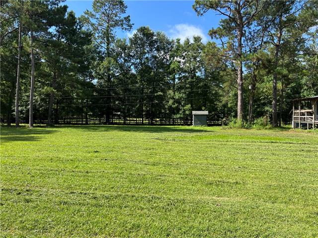 76081 Green Valley Road Folsom, LA 70437 - Photo 1 of 10