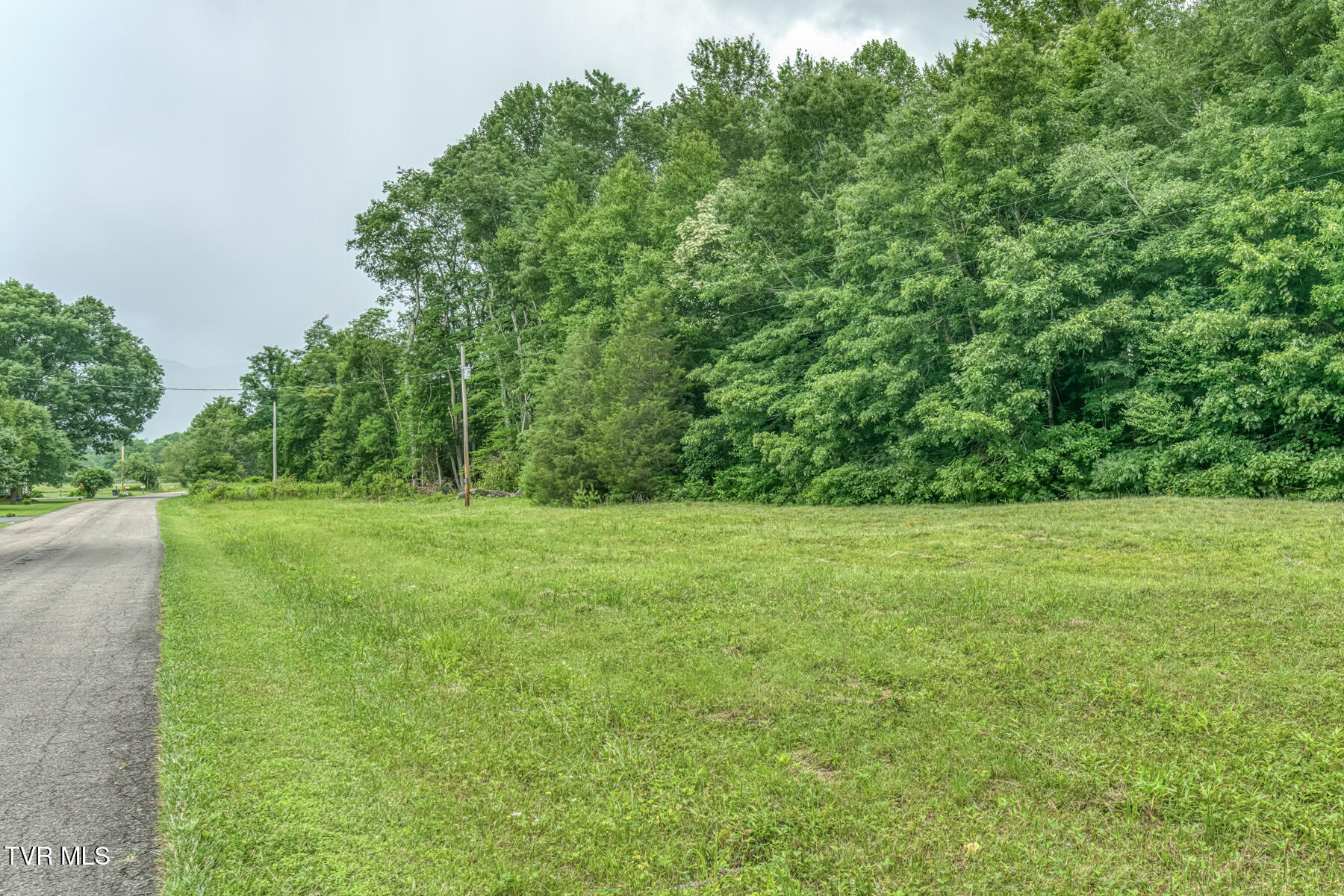 1678 Sluder Road Shady Valley, TN 37688 - Photo 102 of 110 1678 Sluder Rd-102