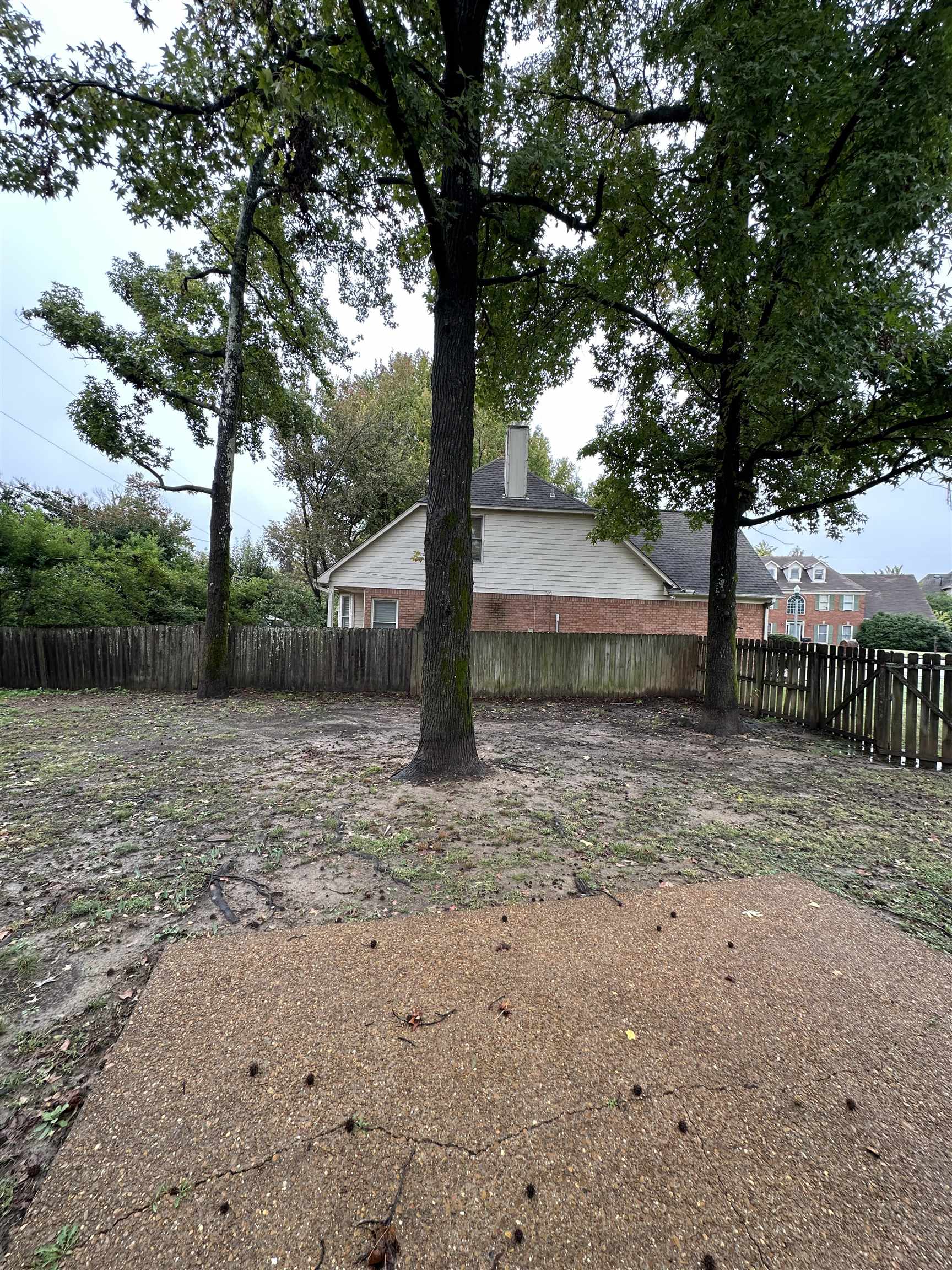 1959 Dartford Cove Memphis, TN 38016 - Photo 25 of 25 a backyard of a house with lots of green space