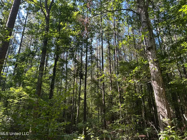 $279,000 | Easy Street, Braxton, MS 39044